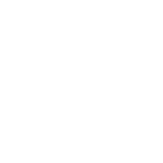 NovumWhite